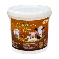 Calciu GOLD vitaminizat cu aromă, găleată, 6kg